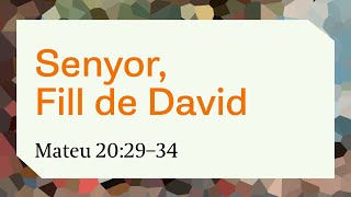 Senyor, Fill de David (Mateu 20:29–34)