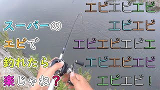 スーパーのエビって、ブッコミ釣りじゃ釣れない感じ？