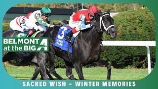 Sacred Wish - 2023 - The Winter Memories