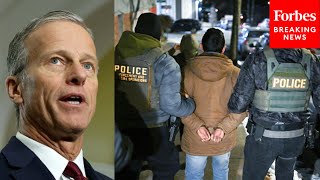 Thune Celebrates Laken Riley Act, Praises Trump Admin 'Working Around The Clock' On Deportations