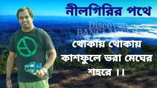 থোকায় থোকায় কাশফুলে ভরা মেঘের শহরে ।। নীলগিরির পথে ।। বান্দরবান ।। বাংলাদেশ 🇧🇩