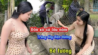 Đốn cây xà cừ lâu năm cao lớn rể ăn sâu bể cả gốc tường nghiên trúng dây điện | Tập 776