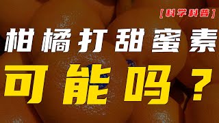 【科学人·谣言】柑橘打甜蜜素，可能吗？