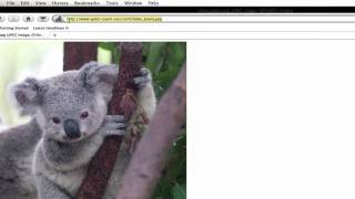 iPhone Programming-Loading image with URL in an UIImageView