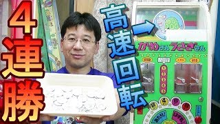 【帰れまてん】　１０円ゲーム「かめさんうさぎさん（昭和６３年）」　最高当り４０枚当たるまで帰れまてん！　高速回転する円盤を見切って４連勝できるのか？！