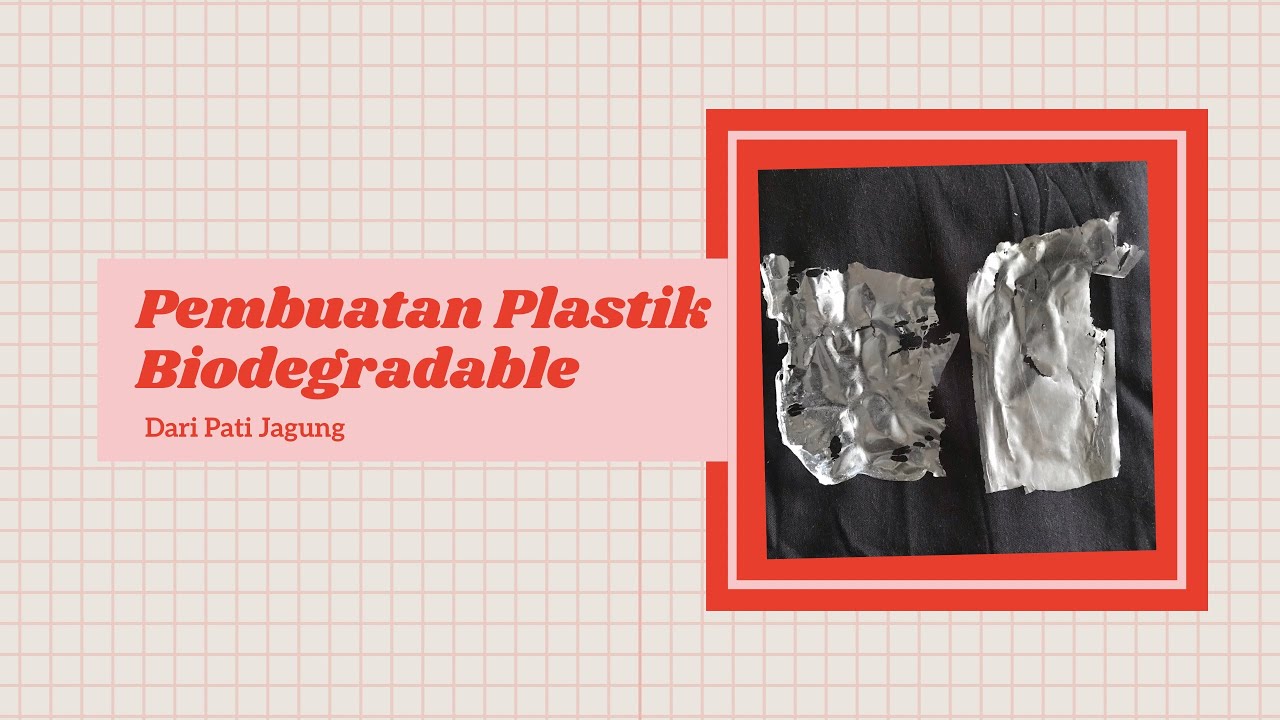 Pembuatan Plastik Biodegradable - YouTube