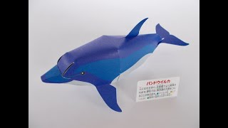 小学館クラフトぶっくシリーズ　「新りったい　どうぶつ館」　バンドウイルカ　CRAFT BOOK Three-dimensional of Animals　　　Bottlenose dolphins