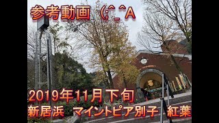 マイントピア別子〜東平　紅葉ドライブ　2019年11月　愛媛県新居浜市