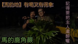 【饅頭日常】馬的地有得吃又有得喝 feat.馬南