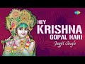 Hey Krishna Gopal Hari with lyrics | हे  कृष्णा गोपाल हरी | Jagjit Singh | Krishan Bhajan