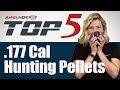 Top 5: .177 Caliber Hunting Pellets