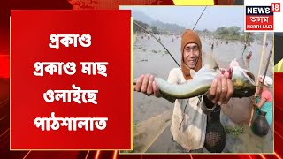 LIVE HOUR | আপোনাৰ ঘৰৰ নিকটতম ভোগালী বজাৰখনৰ পৰা ৰাজ্য বিভিন্ন বজাৰ পৰিৱেশ News18 Assam NEত