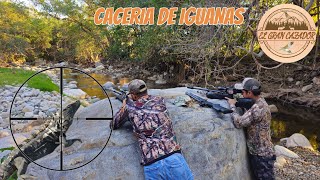 Caceria De Iguanas ¡¡Con El Rifle Mas LETAL Y PRECISO!! EL AVENGE X Cal .25