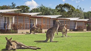 Discovery Parks Pambula Beach, Pambula, Australia