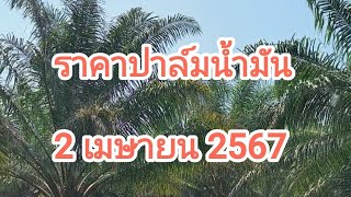 ราคาปาล์มน้ำมันจังหวัดไหนแพงที่สุด #ปาล์มน้ำมัน #เกษตรกร #ราคาปาล์มน้ำมันวันนี้ #ราคาสินค้าเกษตร