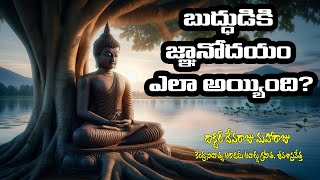 బుద్ధుడికి జ్ఞానోదయం ఎలా అయ్యింది? - DR DEVARAJU MAHARAJU - How did the Buddha become enlightened?