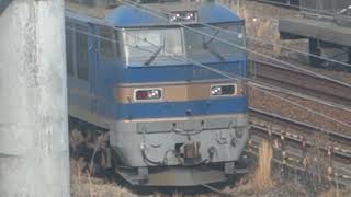 吹田貨物ターミナル駅のEF510・2023-03-12