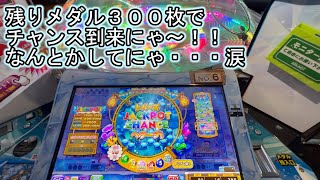 こねこのメダルゲーム日記No.243 メダル無いのでまったりデイリー消化にゃ