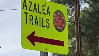Azalea & Spring Flower Trail Driving Tour