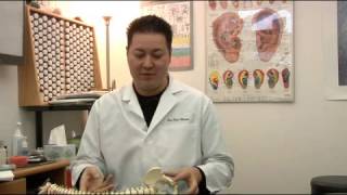 How to Tell if You Have Tailbone Pain (Coccyx Pain)