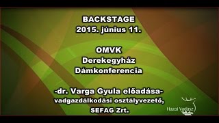 Dámkonferencia - 2015.06.11. - Dr. Varga Gyula előadása