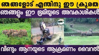 ഞങ്ങളും ഈ ഭൂമിയുടെ അവകാശികളാണ് ആനയുടെ ആക്രമണം വൈറലാകുന്നു..!!