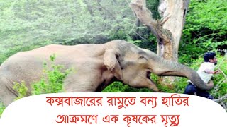 কক্সবাজারের রামুতে বন্য হাতির আক্রমণে এক কৃষকের মৃত্যু