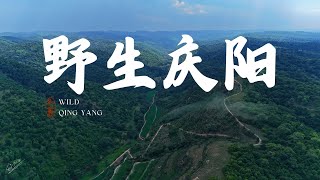 「Real Travel China」113 「Unexpected trip」Real northwest China countryside「YHTravelLife」