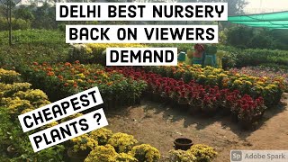 Delhi Most Famous Nursery I Back on Viewers Demand I Best plants and flowers I Kamlesh Nursery 2020