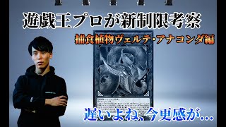 【遊戯王】新リミットレギュレーションで禁止となった【捕食植物ヴェルテ・アナコンダ】の考察と影響!!