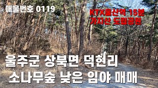 울산시 울주군 상북면 덕현리 1150-4외2필지 임야 매매