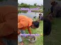 #fishing #strike #mancing #mancingmania #bantusubscribe #subscribers #subscribe #fypシ゚viral #short