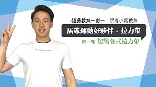 【i運動教練一對一｜健身】居家運動好夥伴 帶你認識拉力帶