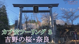 カブ得 ツーリング ３ 吉野 桜 と 奈良