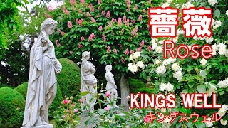 キングスウェル イングリッシュガーデン KINGS WELL 甲斐市 |  English garden｜花スポット