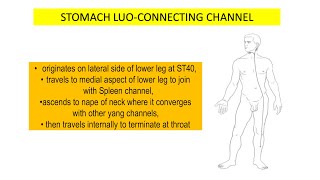 STOMACH LUO-CONNECTING CHANNEL