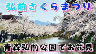 【青森】弘前さくらまつり！弘前公園でお花見！屋台で名物を食す！