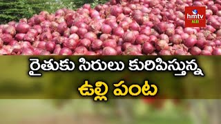 రైతుకు సిరులు కురిపిస్తున్న  ఉల్లి పంట | Onion Farming | hmtv Agri