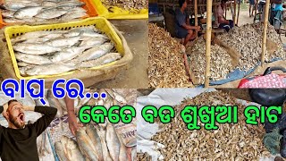 ବାପ୍ ରେ...🙄😱 କେତେ ବଡ ଶୁଖୁଆ ହାଟ🧐🙀 || Ramesh Vlogs