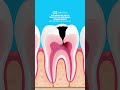 THIS MONTH IS DENTAL HYGIENE MONTH