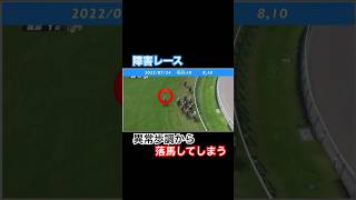 異常歩調から飛越時に落馬してしまう...#競馬 #horseracing #落馬事故