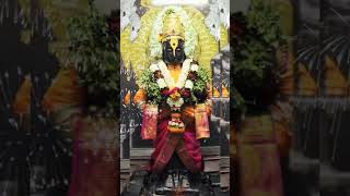 🙏🌺 विठ्ठल रुक्माई दर्शन 🌺🙏#विठ्ठलरुक्मिणी #विठ्ठल #vitthalrukmini #vitthal #viral