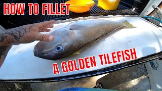 How to Fillet a Golden Tilefish