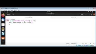 Python Random File Access Using mmap