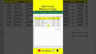 Data Format Move or Copy in excel