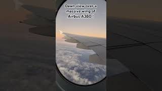 Massive wing of Airbus A380 #airbus #a380 #aviation #shorts #windowviews #wing #aircraft #explore