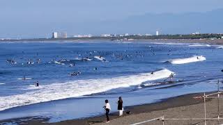 ２０２１年６月２８日（月）／江ノ島～鵠沼海岸：晴れてます。風はやや強めで波は胸～頭くらい。