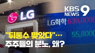 LG화학 분할 “총수 지배력 지키기” vs “기업 가치 높이기” / KBS뉴스(News)