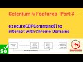 #3 Selenium 4 -  Introducing New method executeCDPCommand() to interact with Chrome Domains