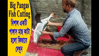 Amazing Big Pangas Fish Cutting By Expert Fish Cutter । আশ্চর্যজনক বড় পাঙ্গাস মাছ কাটা